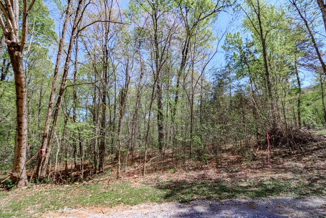 1776 Bullard Dr, Newport, TN 37821