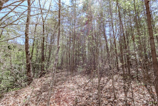 1776 Bullard Dr, Newport, TN 37821