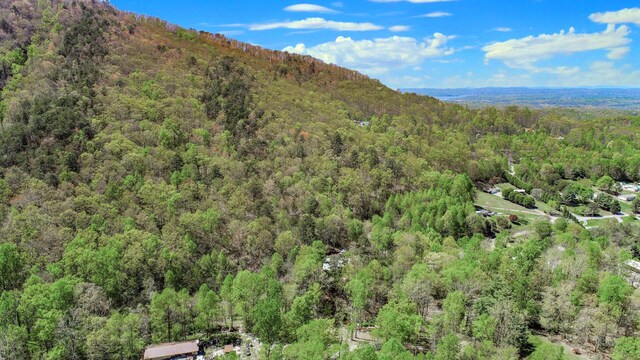 1776 Bullard Dr, Newport, TN 37821