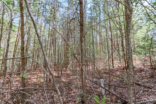 1776 Bullard Dr, Newport, TN 37821