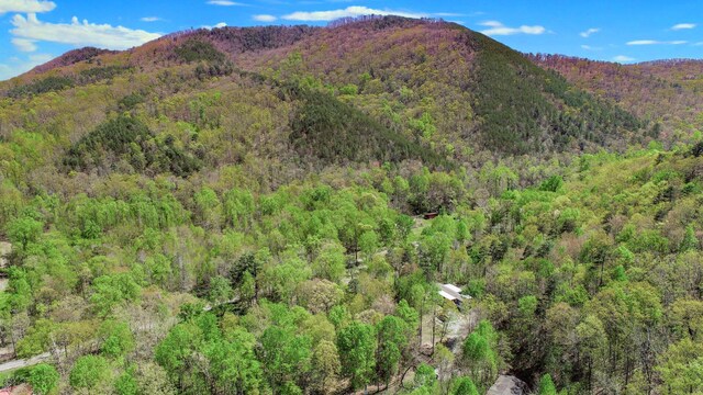1776 Bullard Dr, Newport, TN 37821