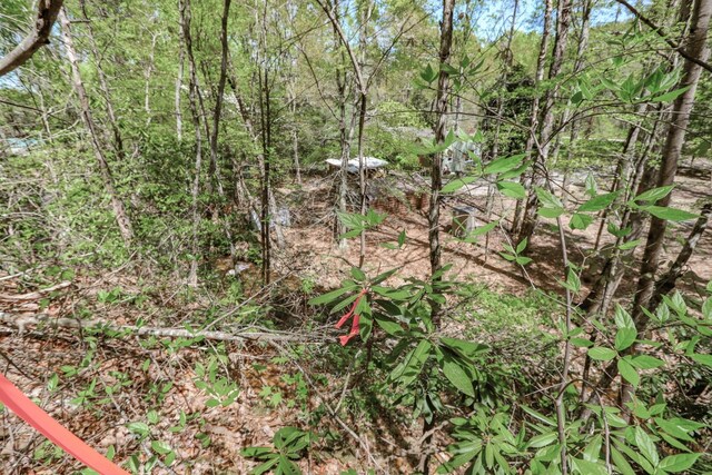 1776 Bullard Dr, Newport, TN 37821