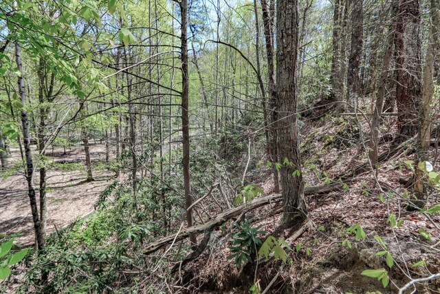 1776 Bullard Dr, Newport, TN 37821