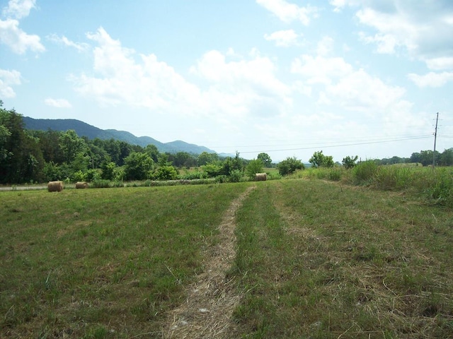 0 Alanthus Hill Rd, Tazewell TN, 37879 land for sale