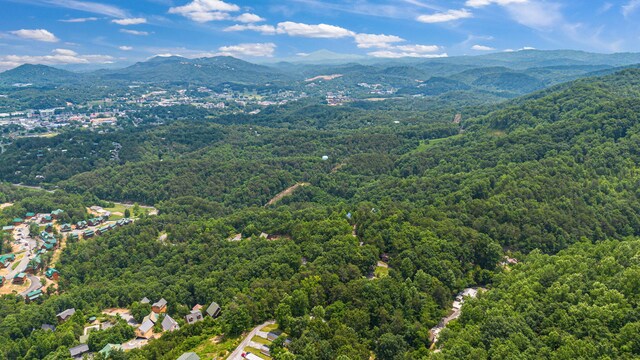 000 Pine Mountain Rd, Pigeon Forge, TN 37862 - photo 22