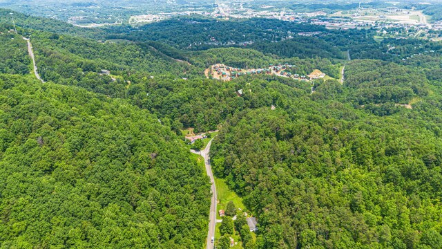 000 Pine Mountain Rd, Pigeon Forge, TN 37862 - photo 9