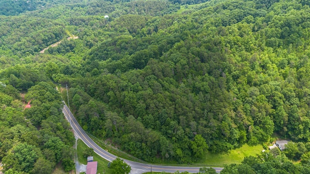 000 Pine Mountain Rd, Pigeon Forge, TN 37862