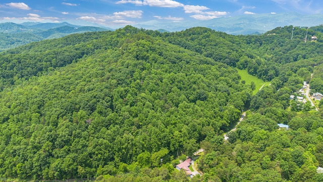 000 Pine Mountain Rd, Pigeon Forge, TN 37862