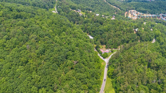 000 Pine Mountain Rd, Pigeon Forge, TN 37862 - photo 14