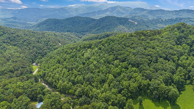 000 Pine Mountain Rd, Pigeon Forge, TN 37862