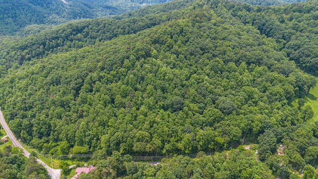 000 Pine Mountain Rd, Pigeon Forge, TN 37862