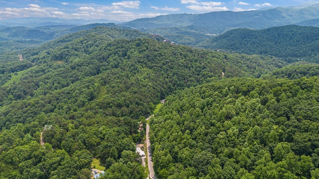 000 Pine Mountain Rd, Pigeon Forge, TN 37862