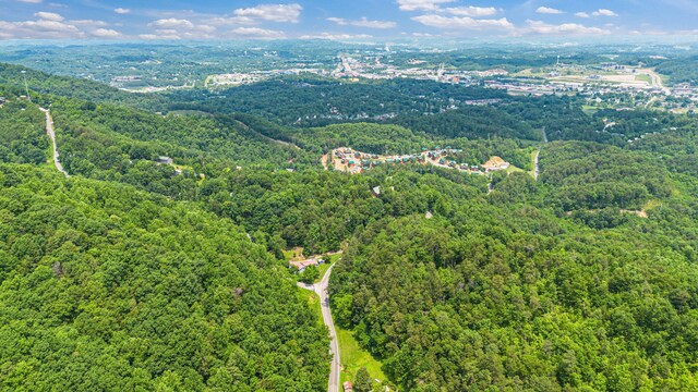 000 Pine Mountain Rd, Pigeon Forge, TN 37862 - photo 8