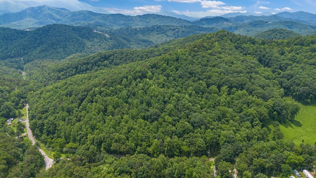 000 Pine Mountain Rd, Pigeon Forge, TN 37862