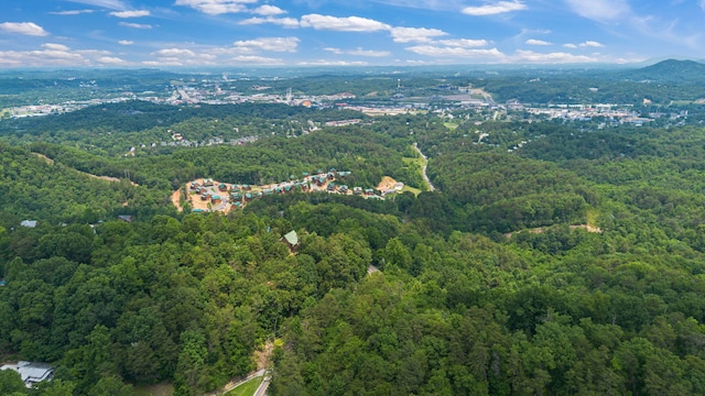 000 Pine Mountain Rd, Pigeon Forge, TN 37862