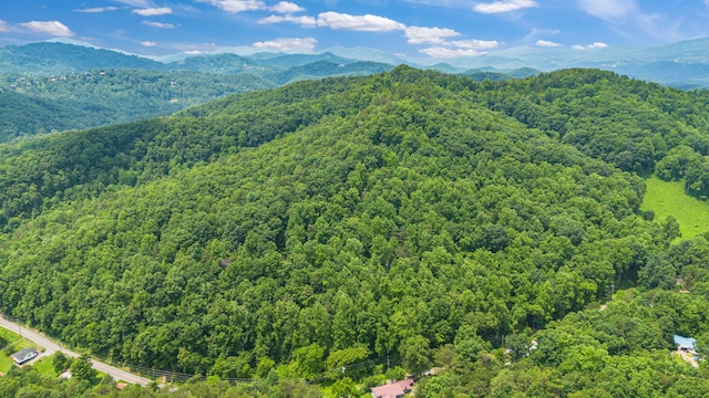 000 Pine Mountain Rd, Pigeon Forge, TN 37862