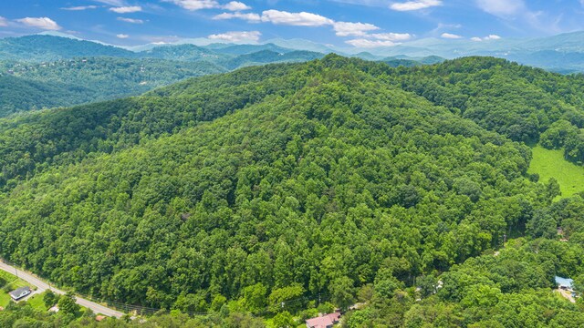 000 Pine Mountain Rd, Pigeon Forge, TN 37862 - photo 6