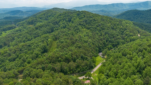 000 Pine Mountain Rd, Pigeon Forge, TN 37862
