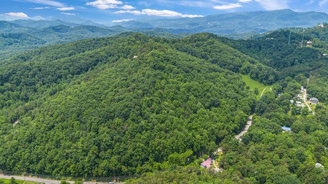 000 Pine Mountain Rd, Pigeon Forge, TN 37862
