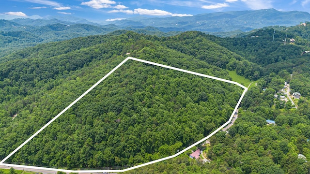 000 Pine Mountain Rd, Pigeon Forge, TN 37862