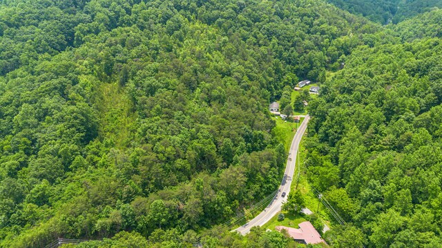 000 Pine Mountain Rd, Pigeon Forge, TN 37862 - photo 4