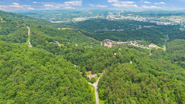 000 Pine Mountain Rd, Pigeon Forge, TN 37862 - photo 10