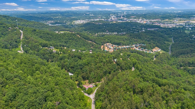 000 Pine Mountain Rd, Pigeon Forge, TN 37862