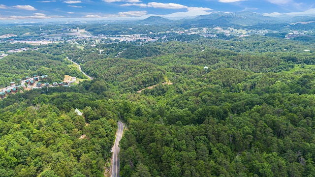 000 Pine Mountain Rd, Pigeon Forge, TN 37862