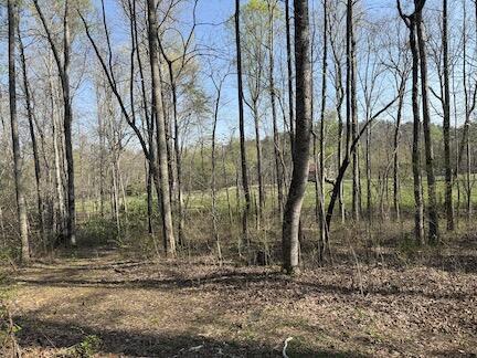 4821 Cates Rd, Hartford, TN 37753