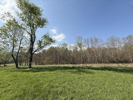 4821 Cates Rd, Hartford, TN 37753