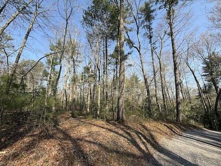 4821 Cates Rd, Hartford, TN 37753