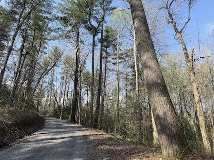 4821 Cates Rd, Hartford, TN 37753