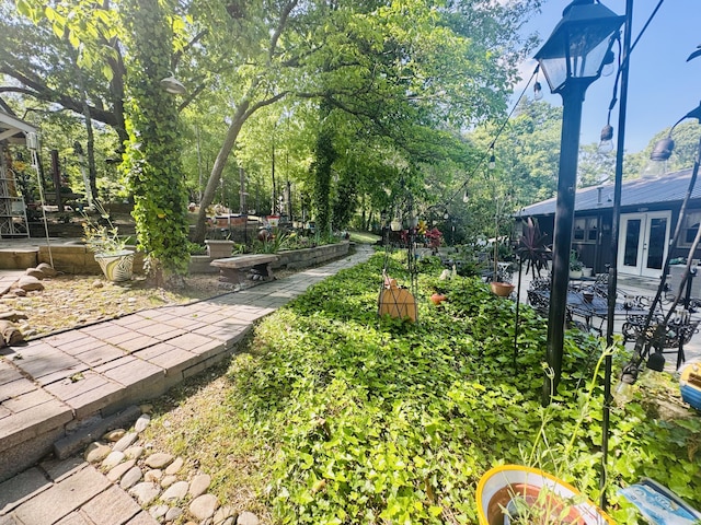 view of community with a patio and a garden