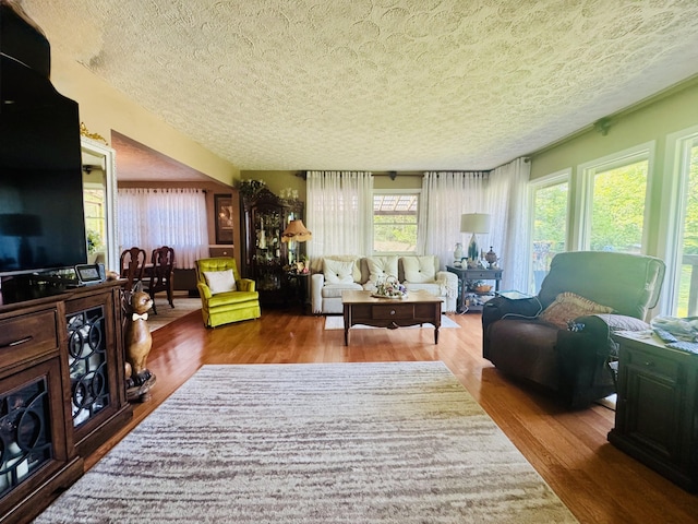 living room with a textured ceiling and wood finished floors