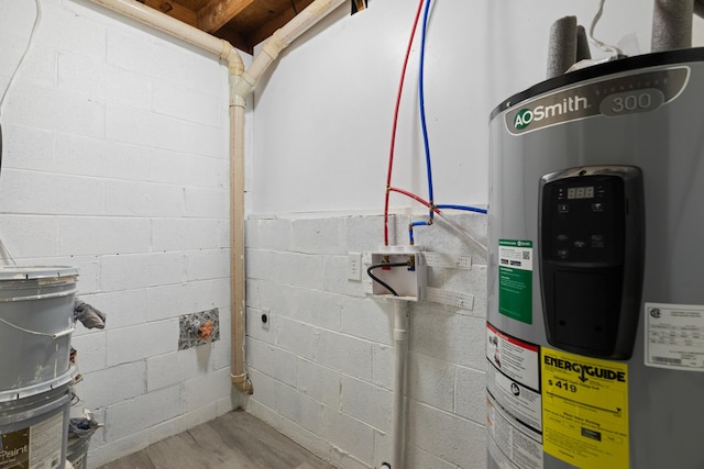 utility room with electric water heater