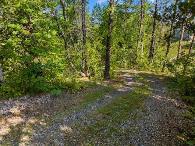 3494 Bohanan Top Rd, Sevierville, TN 37876 - photo 42