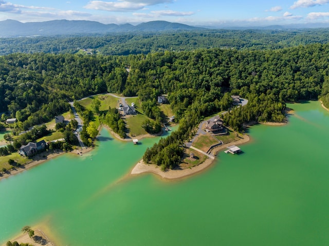 3494 Bohanan Top Rd, Sevierville, TN 37876 - photo 40