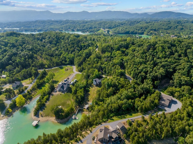 3494 Bohanan Top Rd, Sevierville, TN 37876 - photo 36