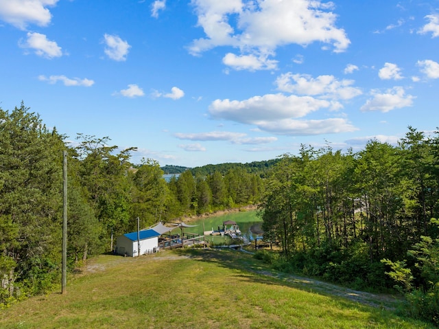 3494 Bohanan Top Rd, Sevierville, TN 37876 - photo 43