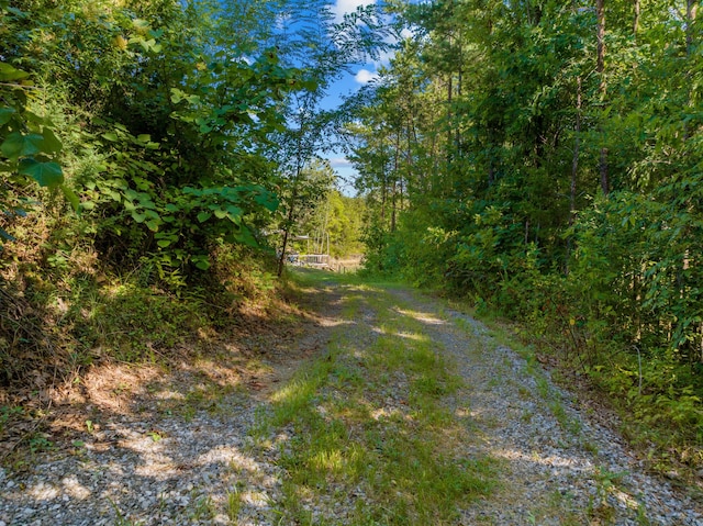 3494 Bohanan Top Rd, Sevierville, TN 37876 - photo 41