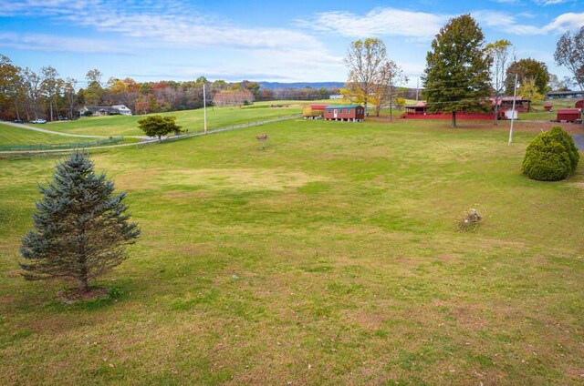 view of yard with a rural view