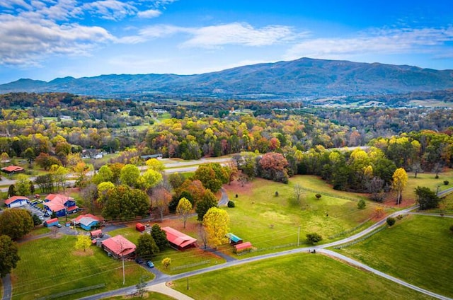 drone / aerial view with a mountain view