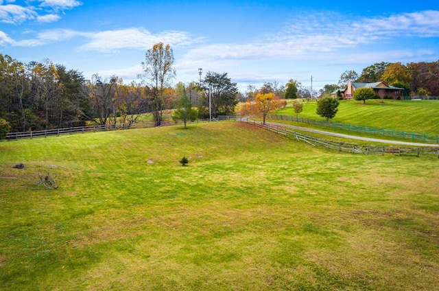 view of yard featuring a rural view