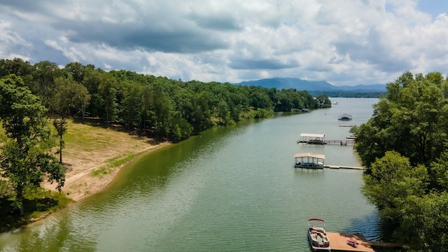 845 Harrison Ferry Rd, White Pine, TN 37890 - photo 3