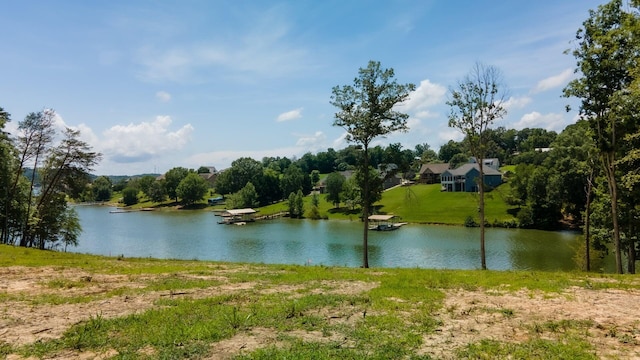 845 Harrison Ferry Rd, White Pine, TN 37890 - photo 1