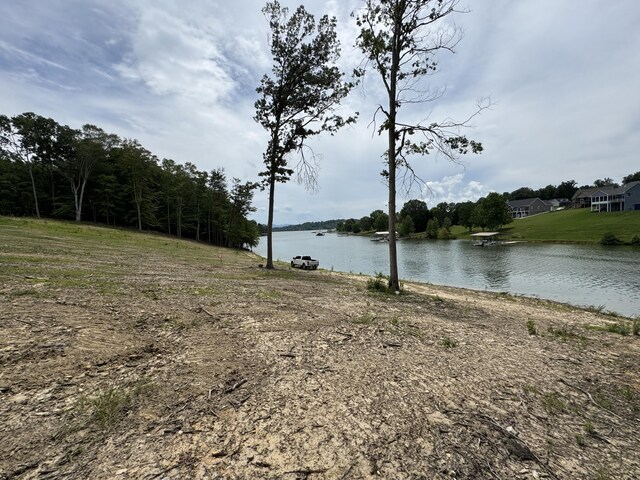 845 Harrison Ferry Rd, White Pine, TN 37890 - photo 4