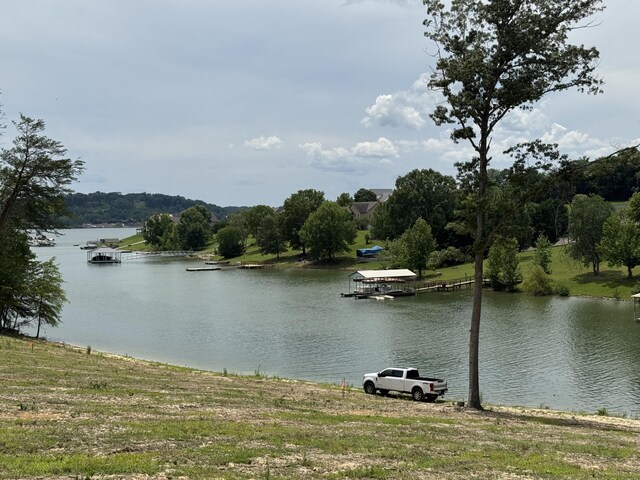 845 Harrison Ferry Rd, White Pine, TN 37890 - photo 5