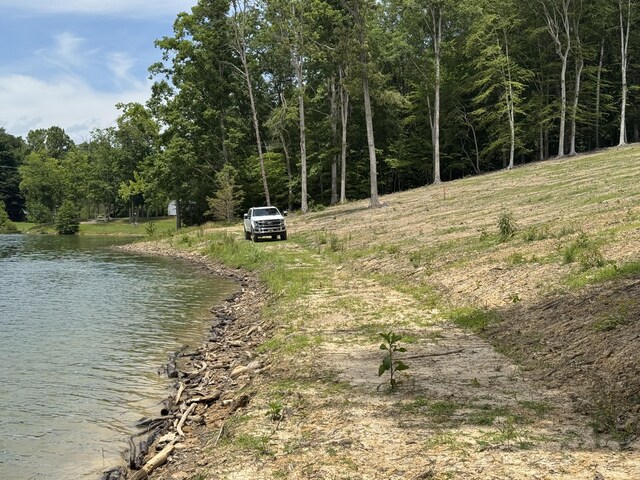 845 Harrison Ferry Rd, White Pine, TN 37890 - photo 8