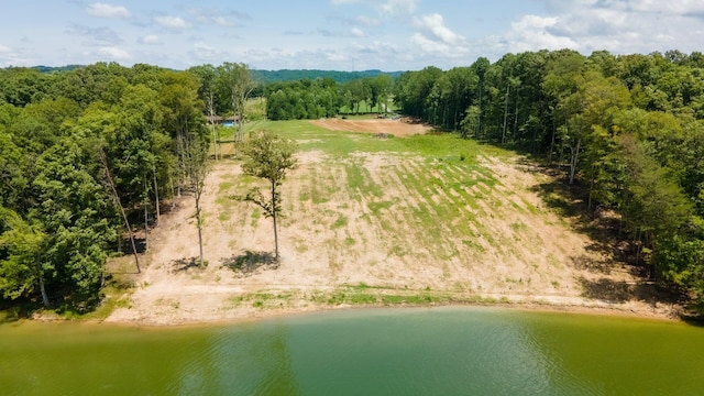 845 Harrison Ferry Rd, White Pine, TN 37890 - photo 2