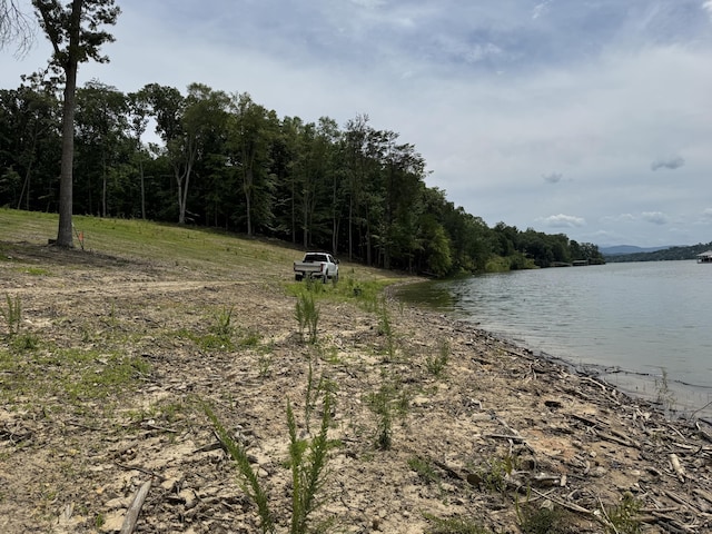 845 Harrison Ferry Rd, White Pine, TN 37890 - photo 7